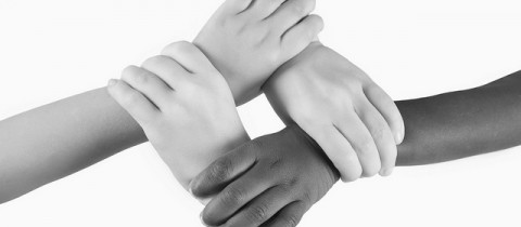Education Series: Racial Solidarity